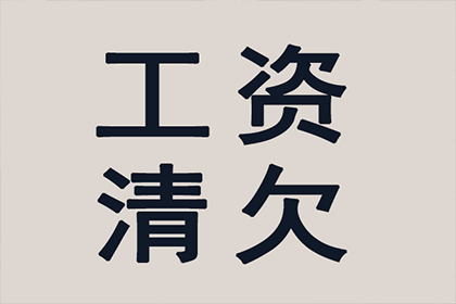桃城追账公司